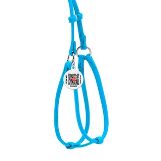 Шлея с поводком для собак кожаная WAUDOG Glamour c QR паспортом, круглая, Д 6 мм, А 26-46 см, В 30-50 см, голубой