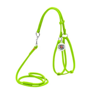 Шлея з повідцем для собак шкіряна WAUDOG Glamour з QR паспортом, кругла, Д 6 мм, А 42-60 см, В 46-64 см, салатовий