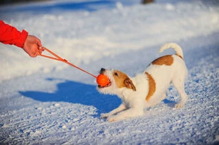 Мячик ЛАЙКЕР5 Лайн, диаметр 5 см