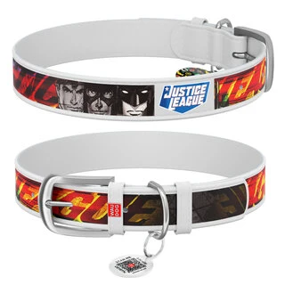 Нашийник для собак шкіряний WAUDOG Design з QR паспортом, малюнок "Ліга Справедливості", Ш 25 мм, Дл 37-48 см, білий