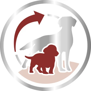 Сухий корм для собак Royal Canin Medium Starter у період вагітності та цуценят середніх порід до 2 місяців 1 кг