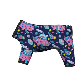 Дощовик для собак WAUDOG Clothes малюнок "Рік і Морті 1", M35, В 59-62 см, С 37-40 см