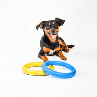 Тренировочный снаряд для собак Collar PULLER Mini Colors of freedom, диаметр 18 см