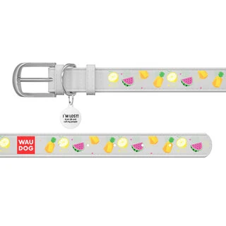 Ошейник WAUDOG Design с рисунком "Фрукты", премиум кожа, металлическая пряжка (ширина 20 мм, длина 30-39 см), белый