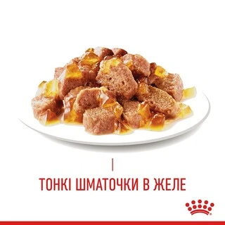 ПАК.Вологий корм для дорослих кішок Royal Canin HAIR&amp;SKIN IN JELLY (Желе) підтримка здоров'я шкіри та вовни 12шт по 85 г