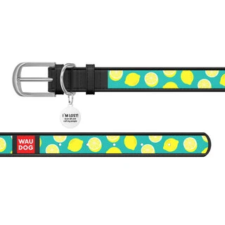 Нашийник WAUDOG Design з малюнком "Лимони", преміум шкіра, металевий пряжка (ширина 35 мм, довжина 46-60 см), чорний