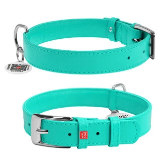 Нашийник для собак шкіряний WAUDOG Glamour з QR паспортом, без прикрас, Ш 20 мм, Дл 30-39 см, ментоловий