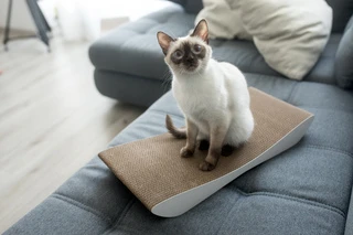 Когтеточка-лежанка Dream Say Meow - 57х24х7см