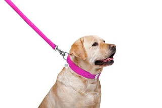 Повідок для собак шкіряний WAUDOG Glamour, Ш 25 мм, Дл 122 см, рожевий