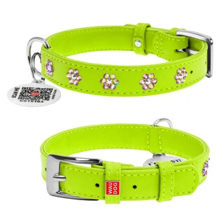 Нашийник для собак шкіряний WAUDOG Glamour з QR паспортом, з клейовими стразами "Квітка", Ш 20 мм, Дл 30-39 см, салатовий