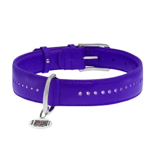 Нашийник для собак шкіряний WAUDOG Glamour з QR паспортом, подвійний зі стразами, Ш 25 мм, Дл 38-49 см, фіолетовий
