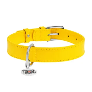 Нашийник для собак шкіряний WAUDOG Glamour з QR паспортом, без прикрас, Ш 20 мм, Дл 30-39 см, жовтий