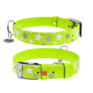 Нашийник для собак шкіряний WAUDOG Glamour з QR паспортом, візерунок "Зірочка", що світиться/світловідбиваючий, Ш 20 мм, Дл 30-39 см, салатовий