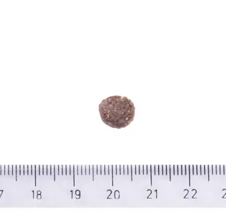 Корм для собак с повышенной активностью Brit Care Dog Sustainable Activity с курицей и насекомыми 12 кг (8595602559220)