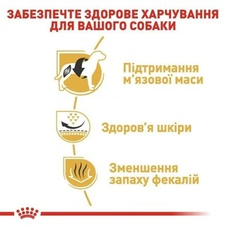 Сухий корм Royal Canin FRENCH BULLDOG ADULT для дорослих собак породи Французький бульдог 3 кг