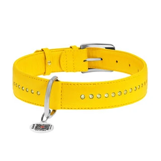 Нашийник для собак шкіряний WAUDOG Glamour з QR паспортом, подвійний зі стразами, Ш 25 мм, Дл 38-49 см, жовтий
