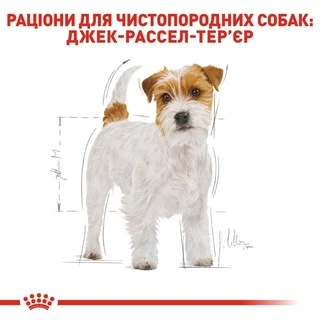 Корм Royal Canin Jack Russell Terrier Adult сухой для собак породы джек рассел 1.5 кг
