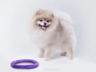 Тренировочный снаряд для собак PULLER Micro диаметр 13см