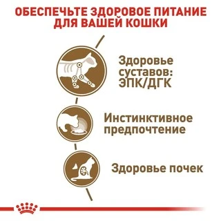 ПАК.Вологий корм Royal Canin AGEING+12 для старіючих котів (Соус)12шт по 85 г