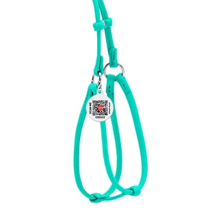 Шлея с поводком для собак кожаная WAUDOG Glamour c QR паспортом, круглая, Д 6 мм, А 26-46 см, В 30-50 см, ментоловый