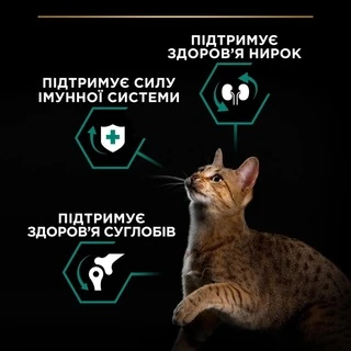 Сухой корм для котов Purina Pro Plan Adult 1 + Renal Plus с курицей 10 кг