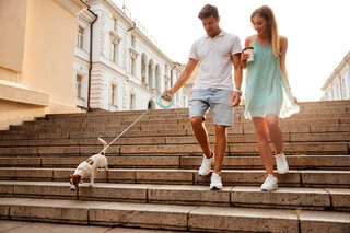 Поводок-рулетка для собак WAUDOG R-leash, кругла, XS-M, до 40 кг, 2,9 м, світловідбиваюча стрічка, салатовий