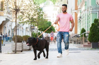 Ошейник EVOLUTOR, регулируемый универсальный размер (ширина 25 мм, длина 25-70 cм), оранжевый