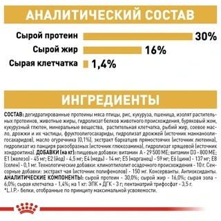 Сухий корм Royal Canin JACK RUSSEL ADULT для дорослих собак породи Джек Рассел Тер'єр 7.5 кг
