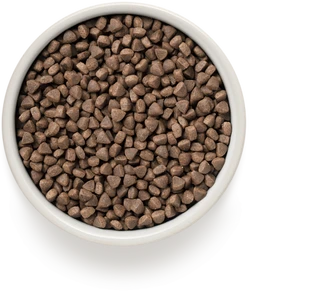 Сухий корм для стерилізованих котів та кішок Grandorf Turkey and Brown Rice Adult Sterilized з індичкою 4 кг