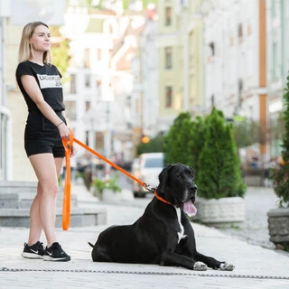 Поводок "EVOLUTOR" (ширина 25 мм, довжина 210 см), оранжевий