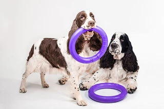 Тренувальний снаряд для собак PULLER Standard, діаметр 28см