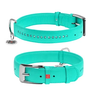 Нашийник для собак шкіряний WAUDOG Glamour з QR паспортом, подвійний зі стразами, Ш 35 мм, Дл 46-60 см, ментоловий