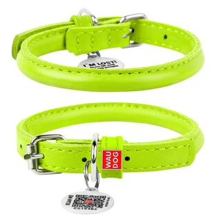 Ошейник для собак кожаный WAUDOG Glamour с QR паспортом, круглый, Д 6 мм, Дл 17-20 см, салатовый