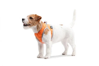 М'яка шлея AiryVest ONE, розмір S2, оранжевий