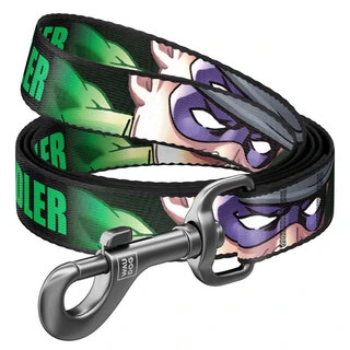 Поводок для собак нейлоновый WAUDOG Nylon, рисунок "Загадочник", Ш 15 мм, Дл 122 см