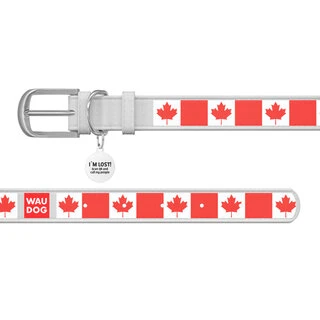 Нашийник WAUDOG Design з малюнком "Кленовий лист", преміум шкіра, металевий пряжка (ширина 12 мм, довжина 21-29 см), білий