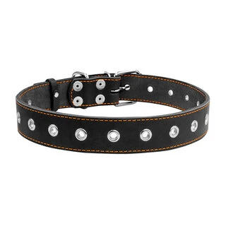Ошейник "CoLLaR" безразмерный (ширина 35мм, длина 69см), черный