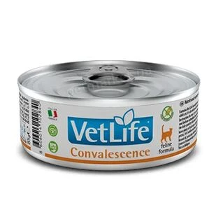 Фармина влажный корм Vet Life Convalescence диет. питание, для восстановления питания и выздоровления, 85 г