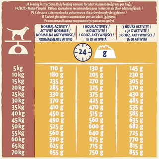 Сухой корм для взрослых активных собак Purina Dog Chow Active Adult со вкусом курицы 14 кг