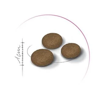 Сухий корм для собак малих порід Royal Canin Mini Adult для дорослих собак 800 г