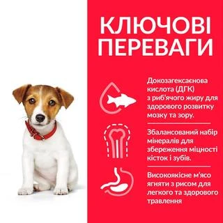 Сухой корм для щенков малых и миниатюрных пород Hill&rsquo;s SCIENCE PLAN Puppy Smal&amp;amp;Mini с ягненком и рисом, 0,3 кг