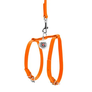 Шлея с поводком для собак кожаная WAUDOG Glamour c QR паспортом, Ш 12 мм, А 25-33 см, В 35-43 см, оранжевый