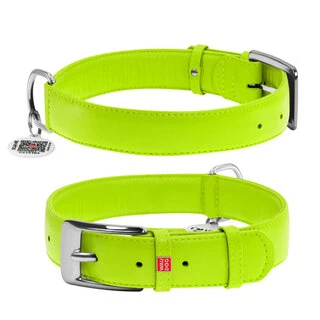 Нашийник для собак шкіряний WAUDOG Glamour з QR паспортом, без прикрас, Ш 35 мм, Дл 46-60 см, салатовий