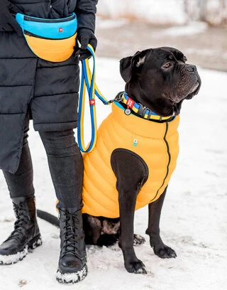 Поводок для собак нейлоновый WAUDOG Nylon рисунок "Colors of freedom", M, Ш 20 мм, Дл 122 см