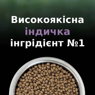 Сухой полнорационный корм для котят Purina Pro Plan LiveClear для уменьшения аллергенов на шерсти с индейкой 1.4 кг