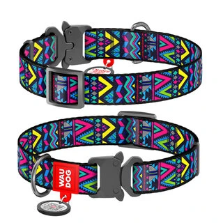 Нашийник для собак нейлоновий WAUDOG Nylon з QR паспортом, малюнок "Інді", металевий пряжка-фастекс, Ш 25 мм, Дл 31-49 см