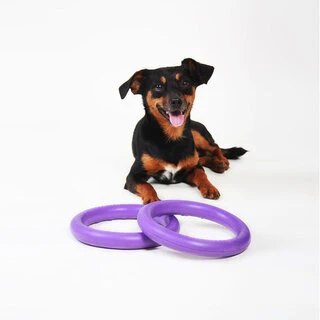 Тренувальний снаряд для собак PULLER Mini, діаметр 18см