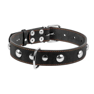 Нашийник "CoLLaR" одинарний з прикрасами (ширина 35мм, довжина 48-63см), чорний