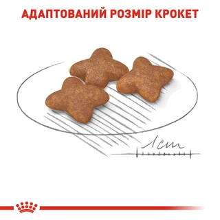 Сухой корм для собак Royal Canin Mini Adult мелких пород старше 10 месяцев 800 г