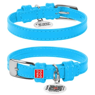 Нашийник для собак шкіряний WAUDOG Glamour з QR паспортом, без прикрас, Ш 12 мм, Дл 21-29 см, блакитний